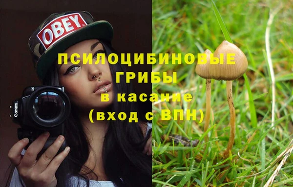 дурь Карабаново