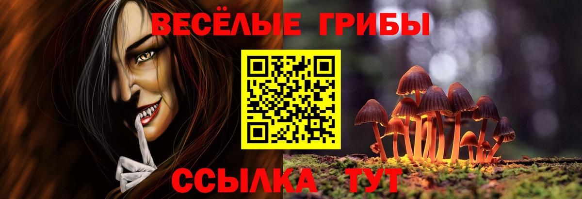 Галлюциногенные грибы Psilocybine cubensis Когалым